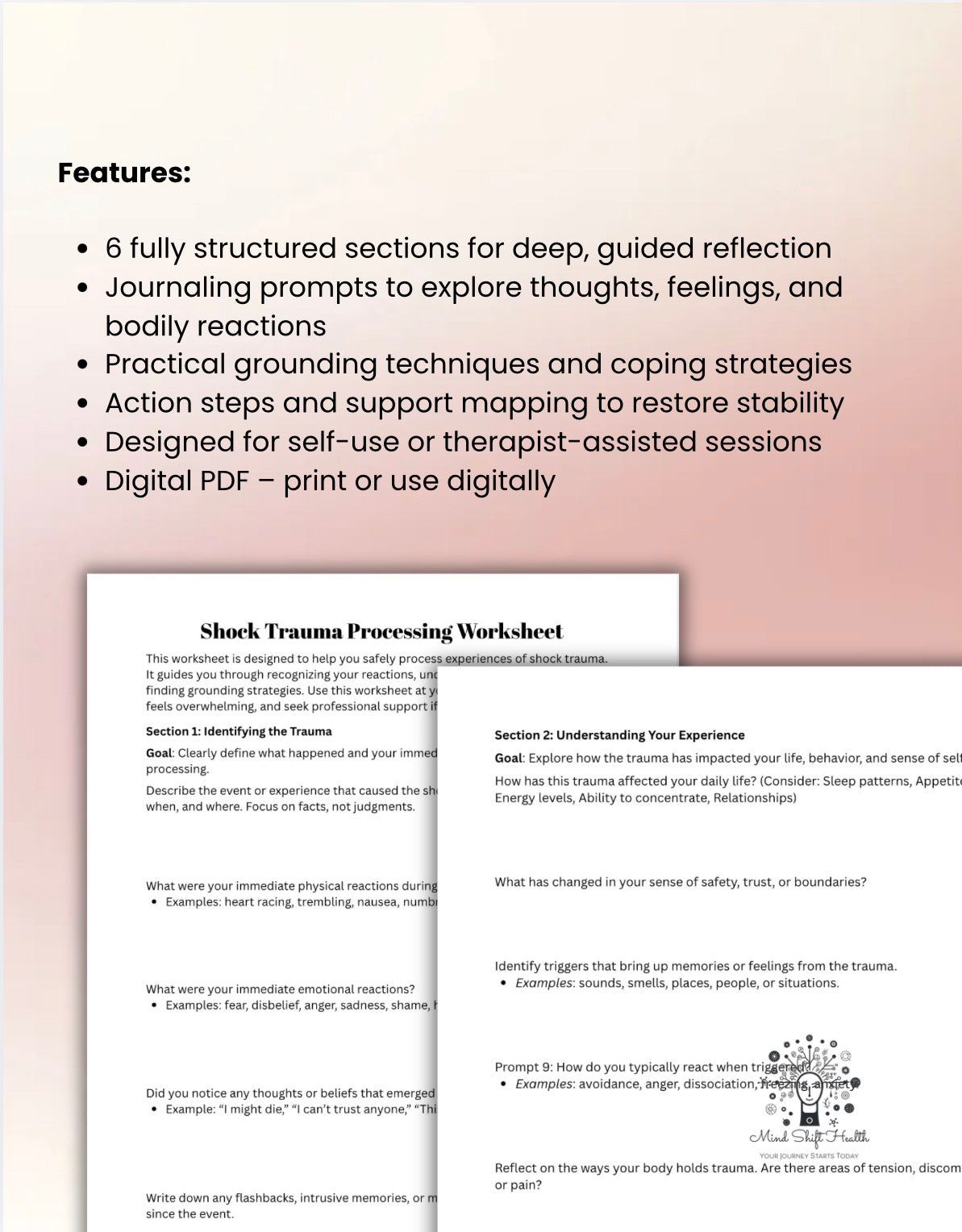 Shock Trauma Processing Worksheet: Therapist Resource (PDF)