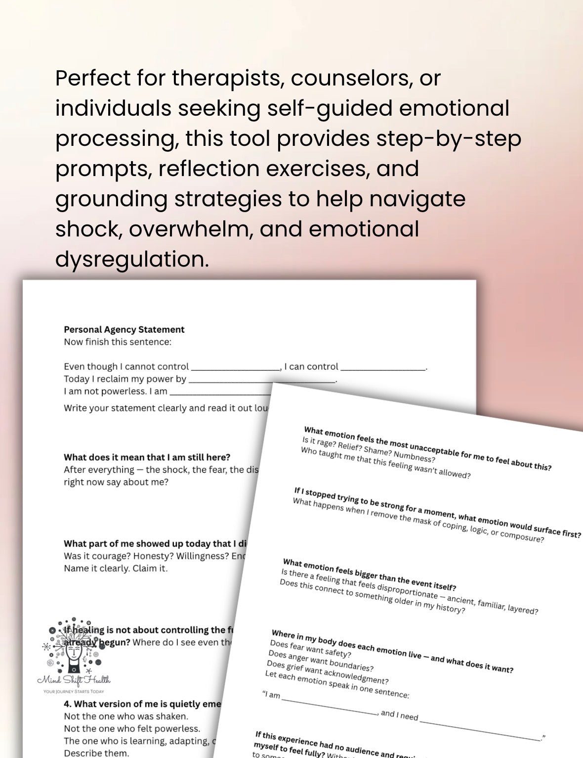 Shock Trauma Processing Worksheet: Therapist Resource (PDF)