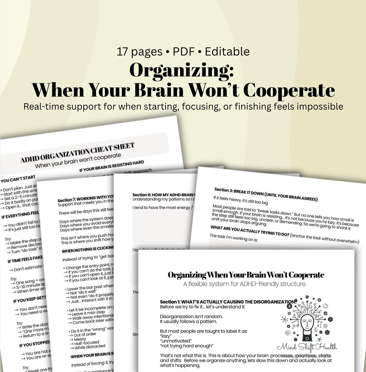 ADHD Organization & Executive Functioning Workbook Reset System (When Your Brain Won’t Cooperate)