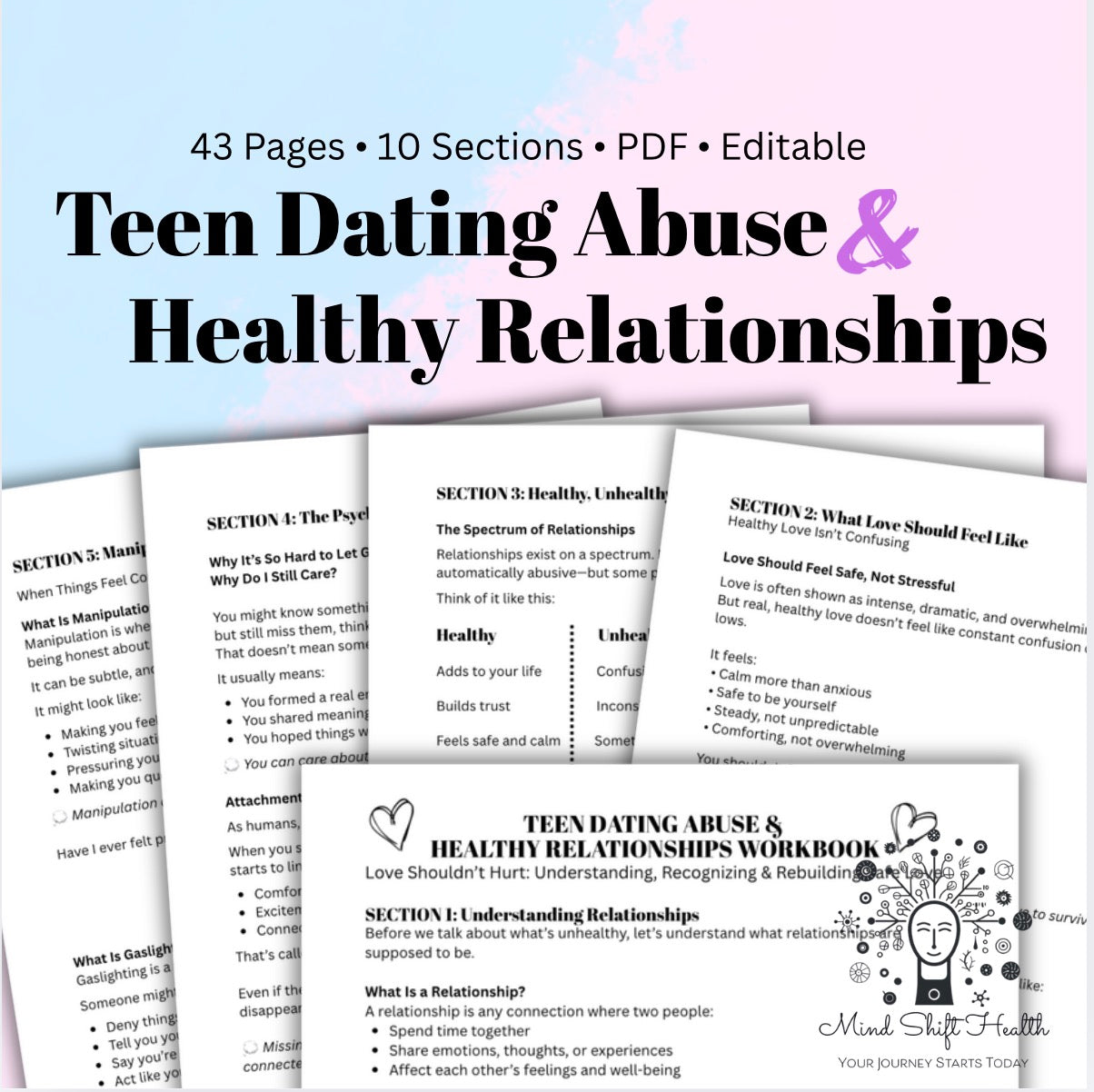 Teen Dating Abuse Workbook – Healthy vs Unhealthy Relationships, Red Flags, Boundaries & Self-Esteem PDF for Teens