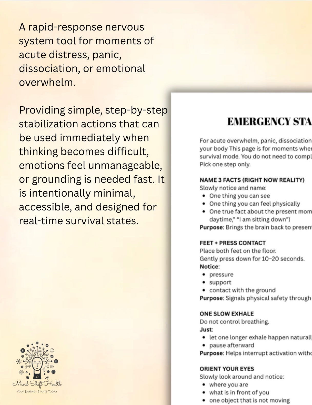 Trauma-Informed Intervention Toolkit Somatic, Emotional & Nervous System Regulation Support