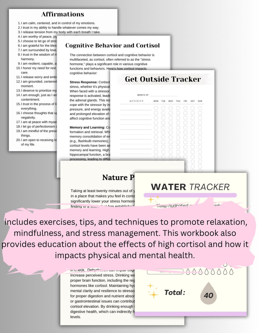Cortisol Balance Workbook: Stress & Trauma Relief for Women (PDF)