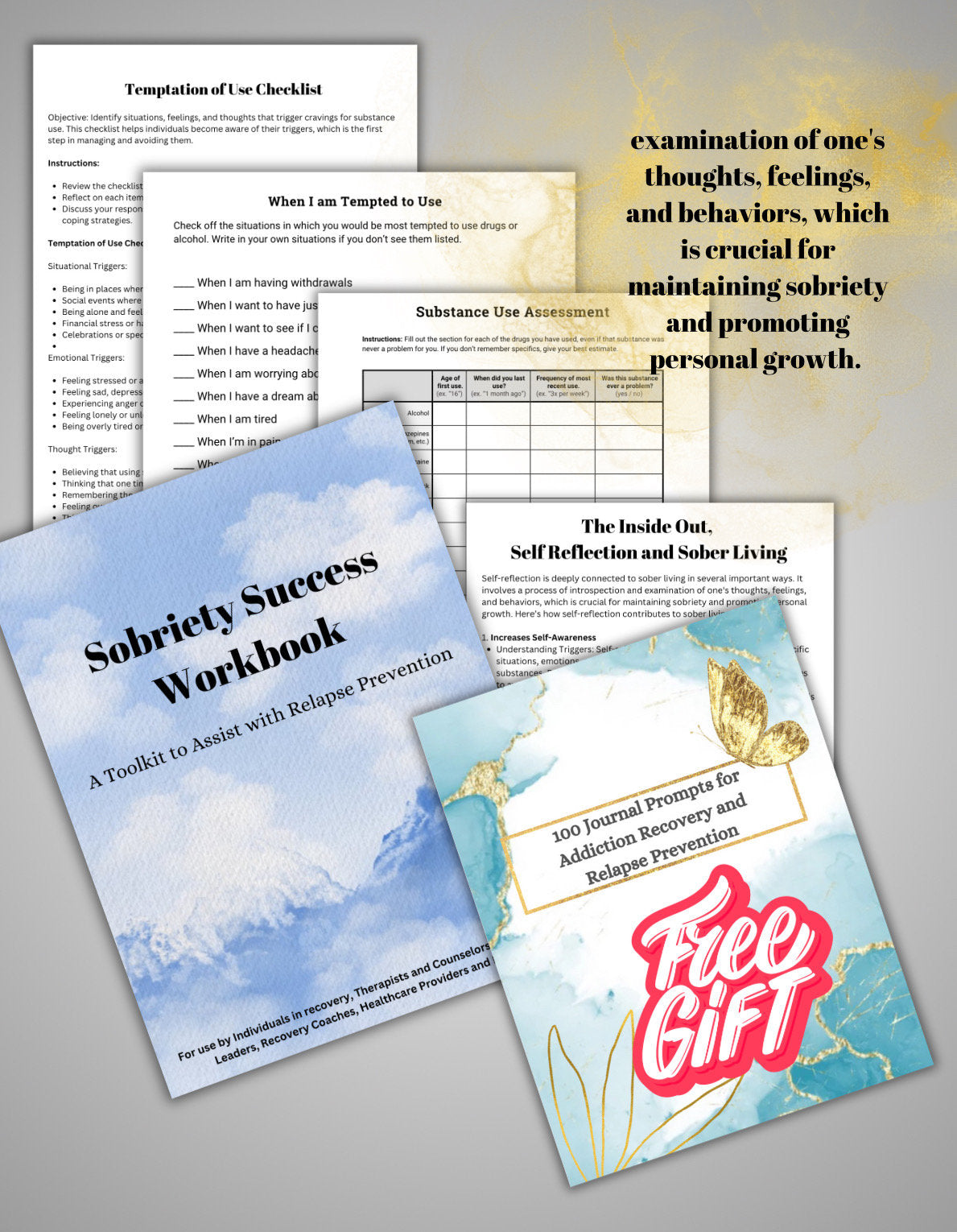 Addiction Recovery Worksheets: Sobriety Strategies & Tools (PDF Download)