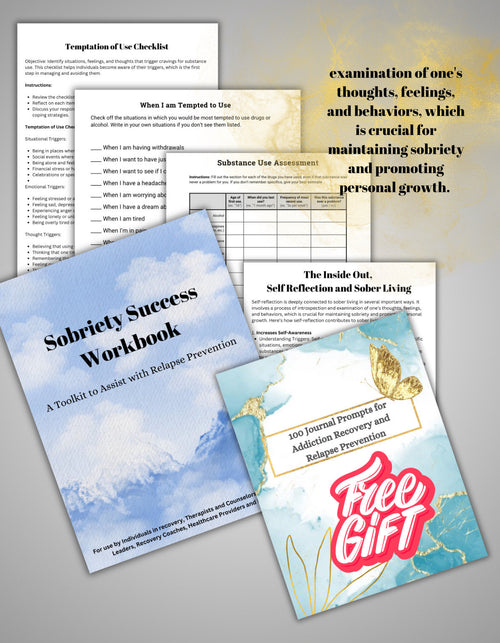 Addiction Recovery Worksheets: Sobriety Strategies & Tools (PDF Download)