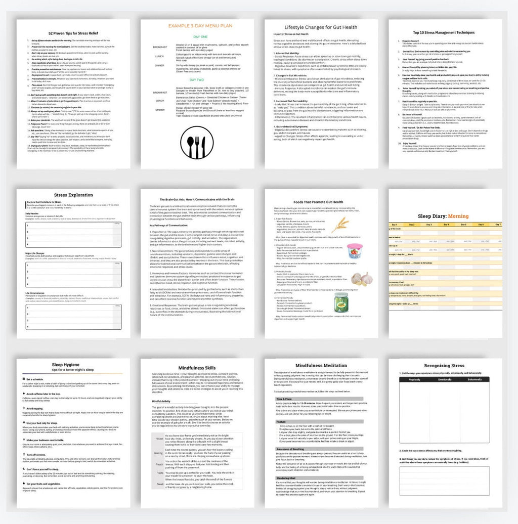 Gut Health Workbook | Mind-Body Connection (Digital Download)