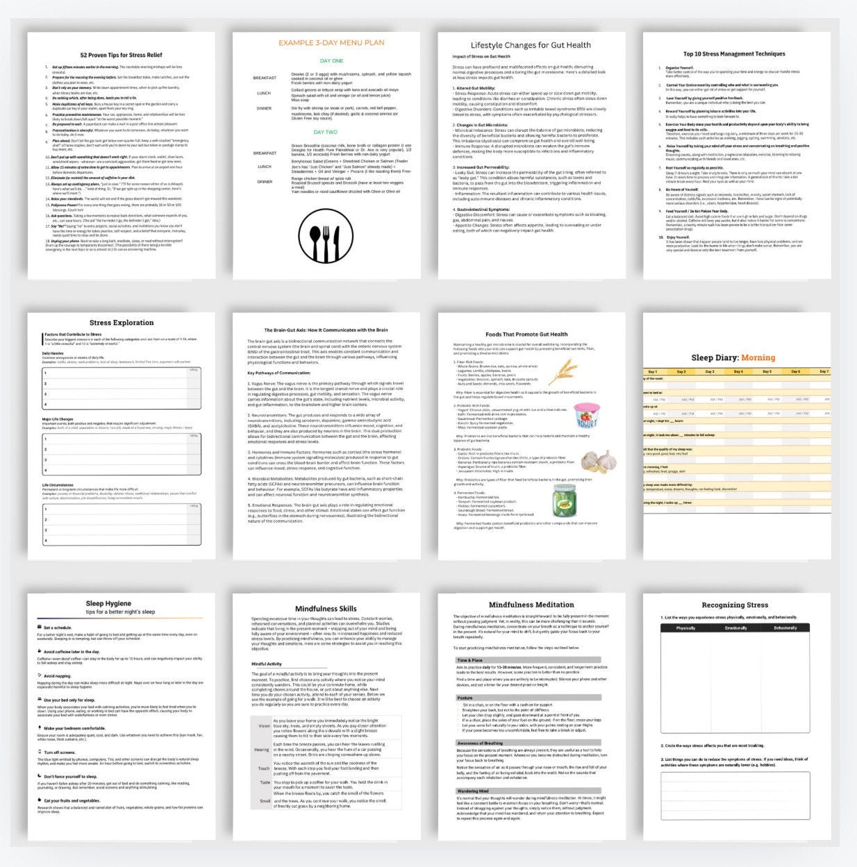 Gut Health Workbook | Mind-Body Connection (Digital Download)