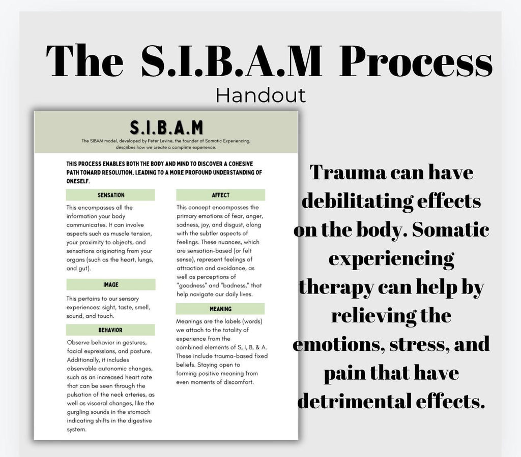 SIBAM Process Cheat Sheet Somatic Experiencing Manage Triggers Inner Channel Coping Strategies SE Healing