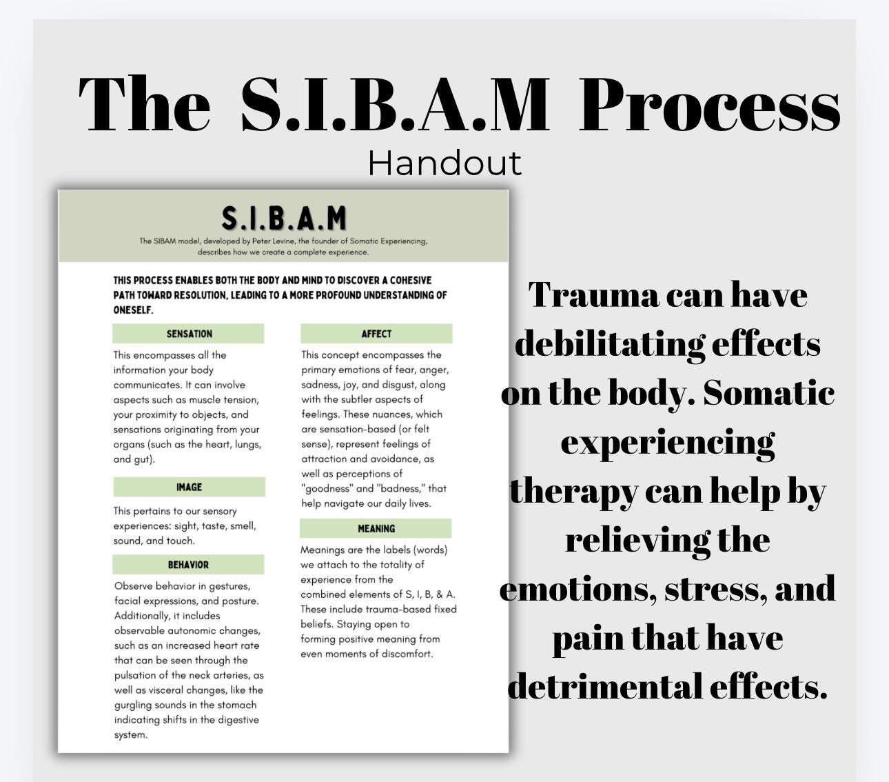 SIBAM Process Cheat Sheet Somatic Experiencing Manage Triggers Inner Channel Coping Strategies SE Healing