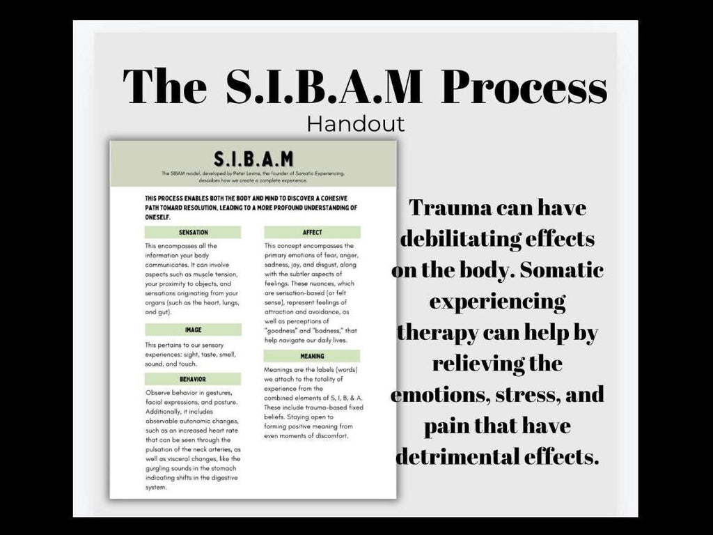 SIBAM Process Cheat Sheet Somatic Experiencing Manage Triggers Inner Channel Coping Strategies SE Healing