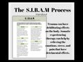 SIBAM Process Cheat Sheet Somatic Experiencing Manage Triggers Inner Channel Coping Strategies SE Healing