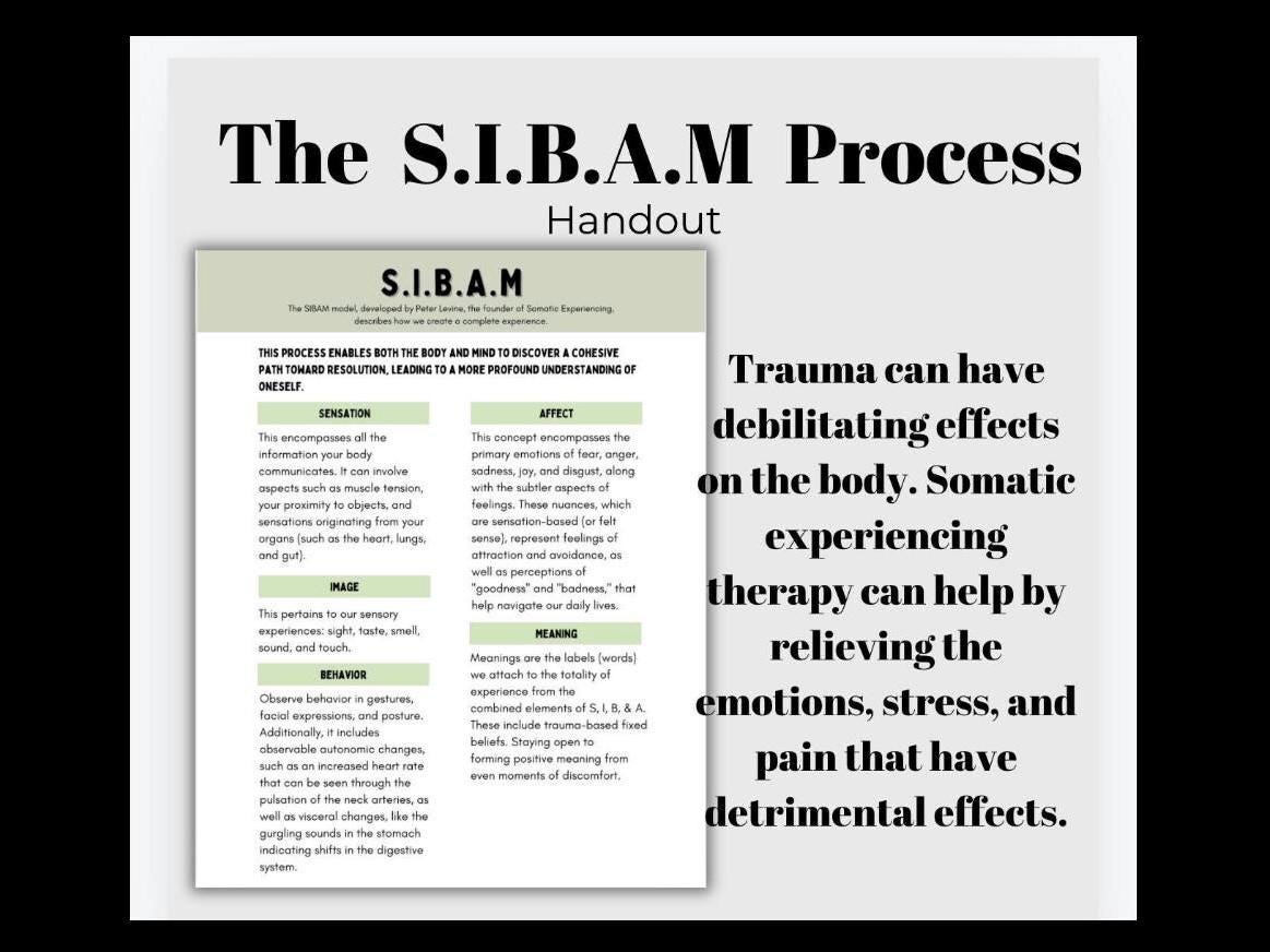 SIBAM Process Cheat Sheet Somatic Experiencing Manage Triggers Inner Channel Coping Strategies SE Healing