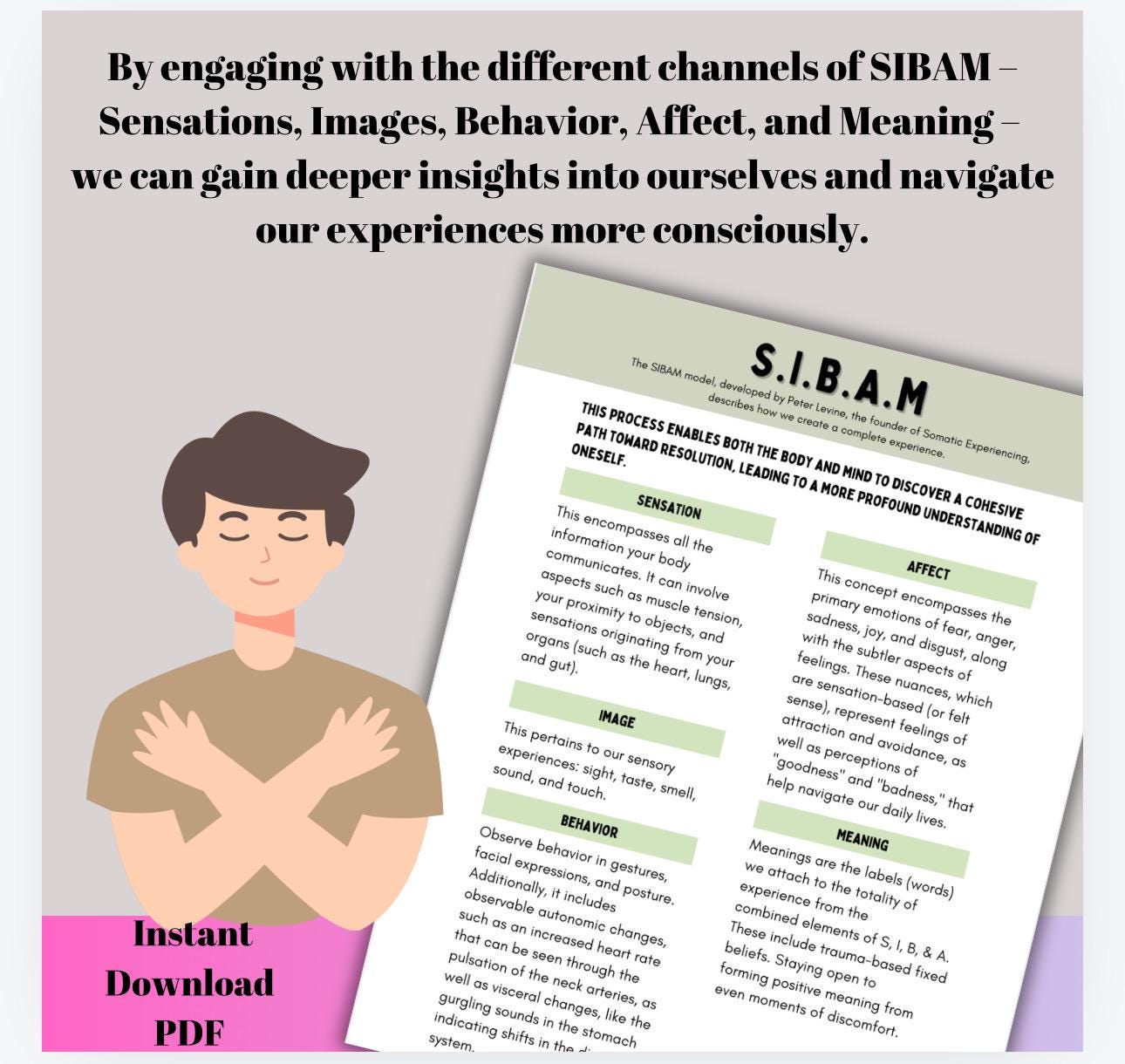 SIBAM Process Cheat Sheet Somatic Experiencing Manage Triggers Inner Channel Coping Strategies SE Healing