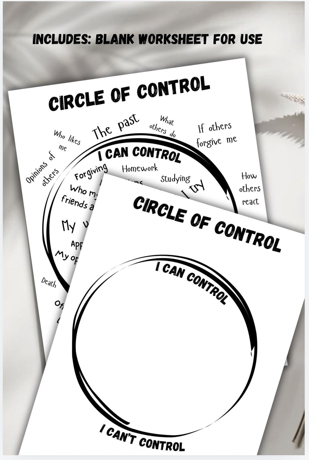 Circle of Control Worksheet, Group Therapy Tool (Digital Download)