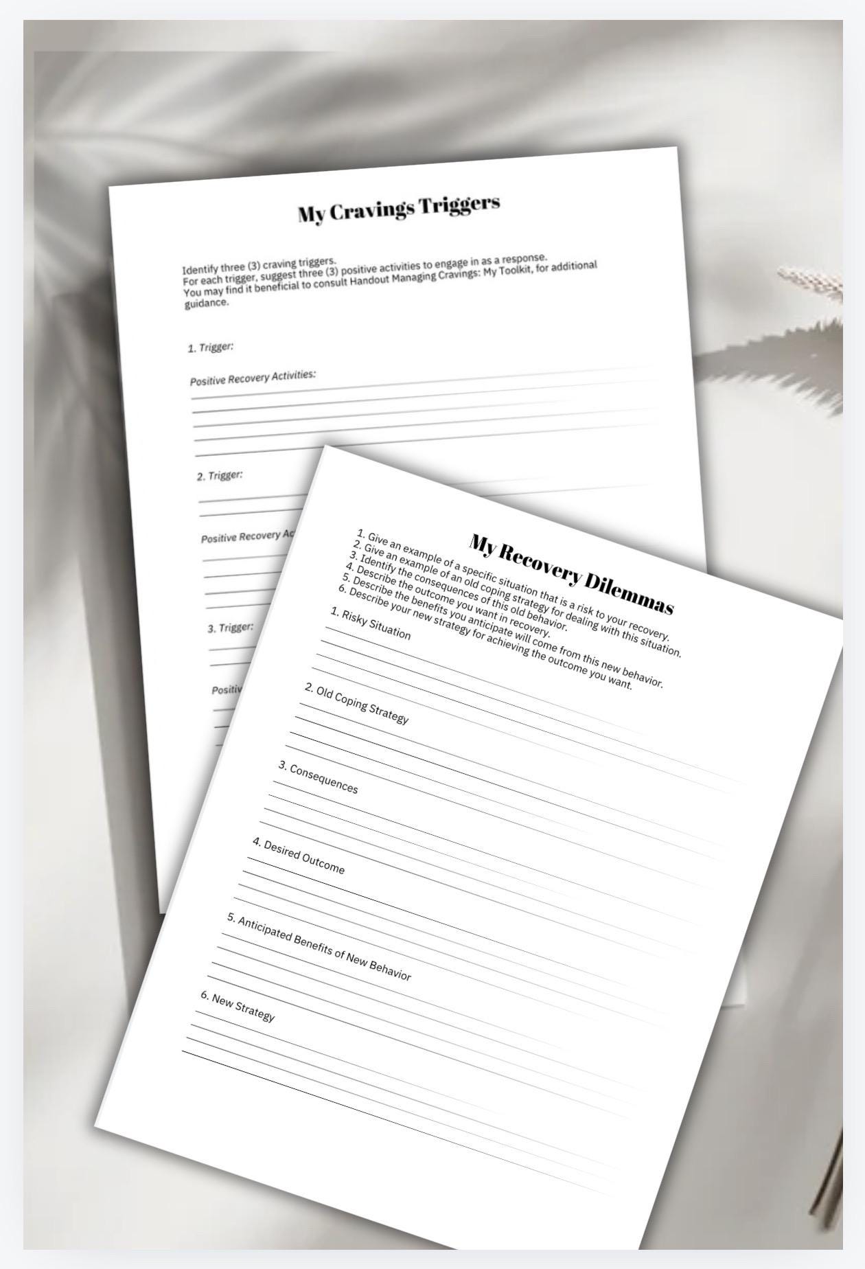 Addiction Recovery Roadmap | Relapse Prevention Workbook | Family Support Guide | Printable Mental Health Digital Download