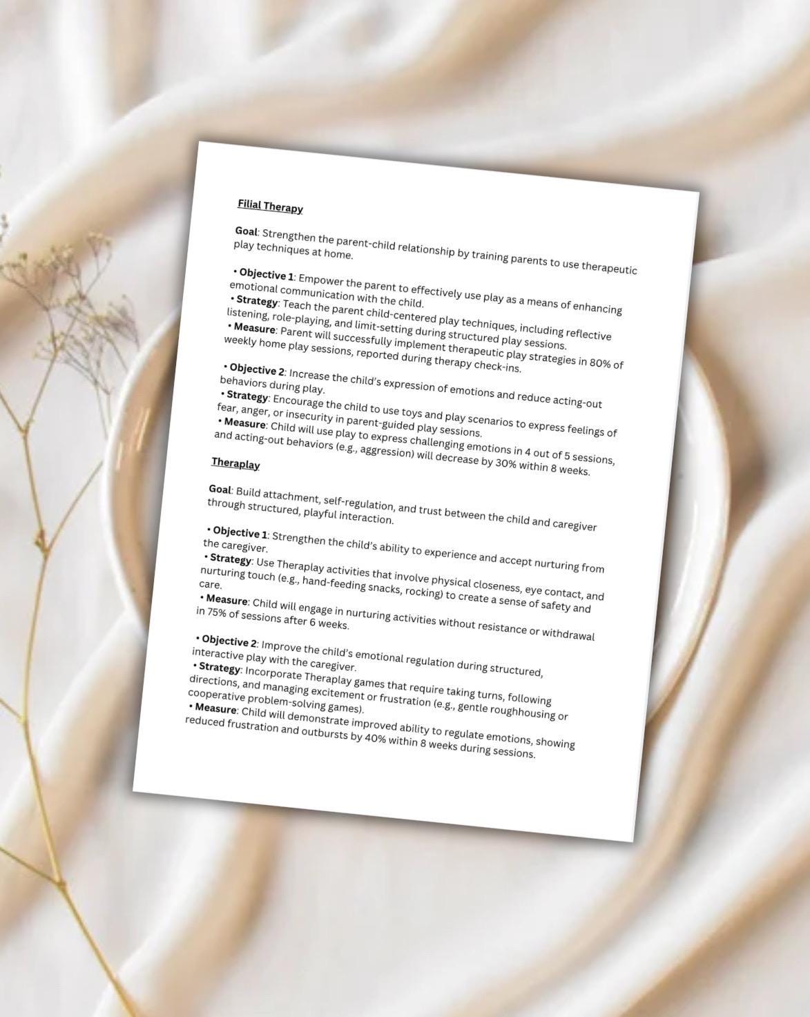 Child Attachment Disruption Guide Therapy, Healing (PDF Download)