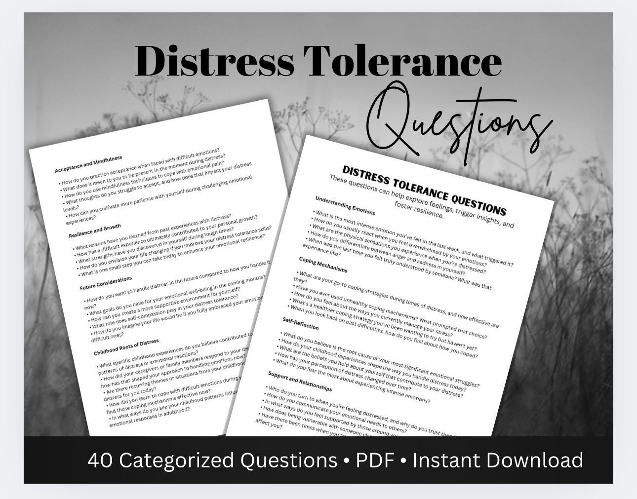 Distress Tolerance Questions Workbook, Emotional Regulation Therapist Toolkit (PDF)