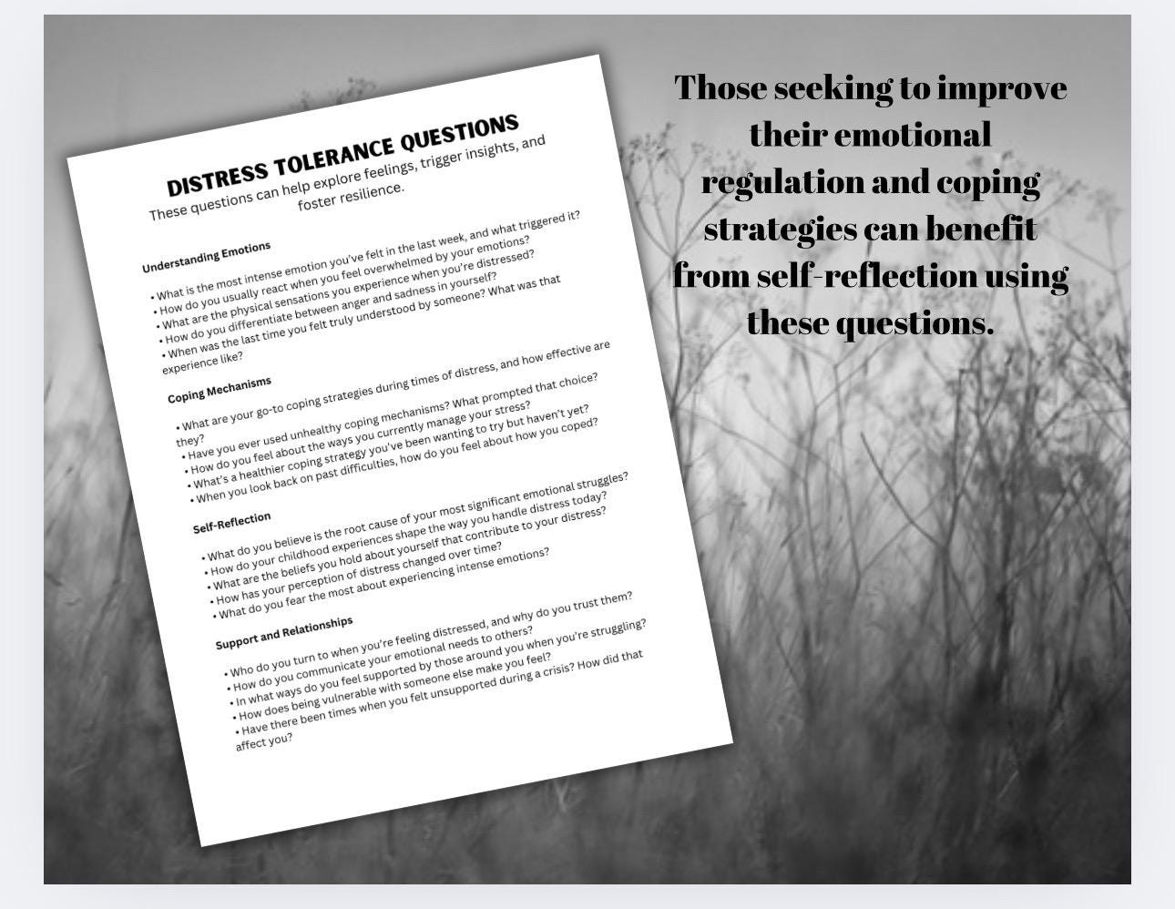 Distress Tolerance Questions Workbook, Emotional Regulation Therapist Toolkit (PDF)
