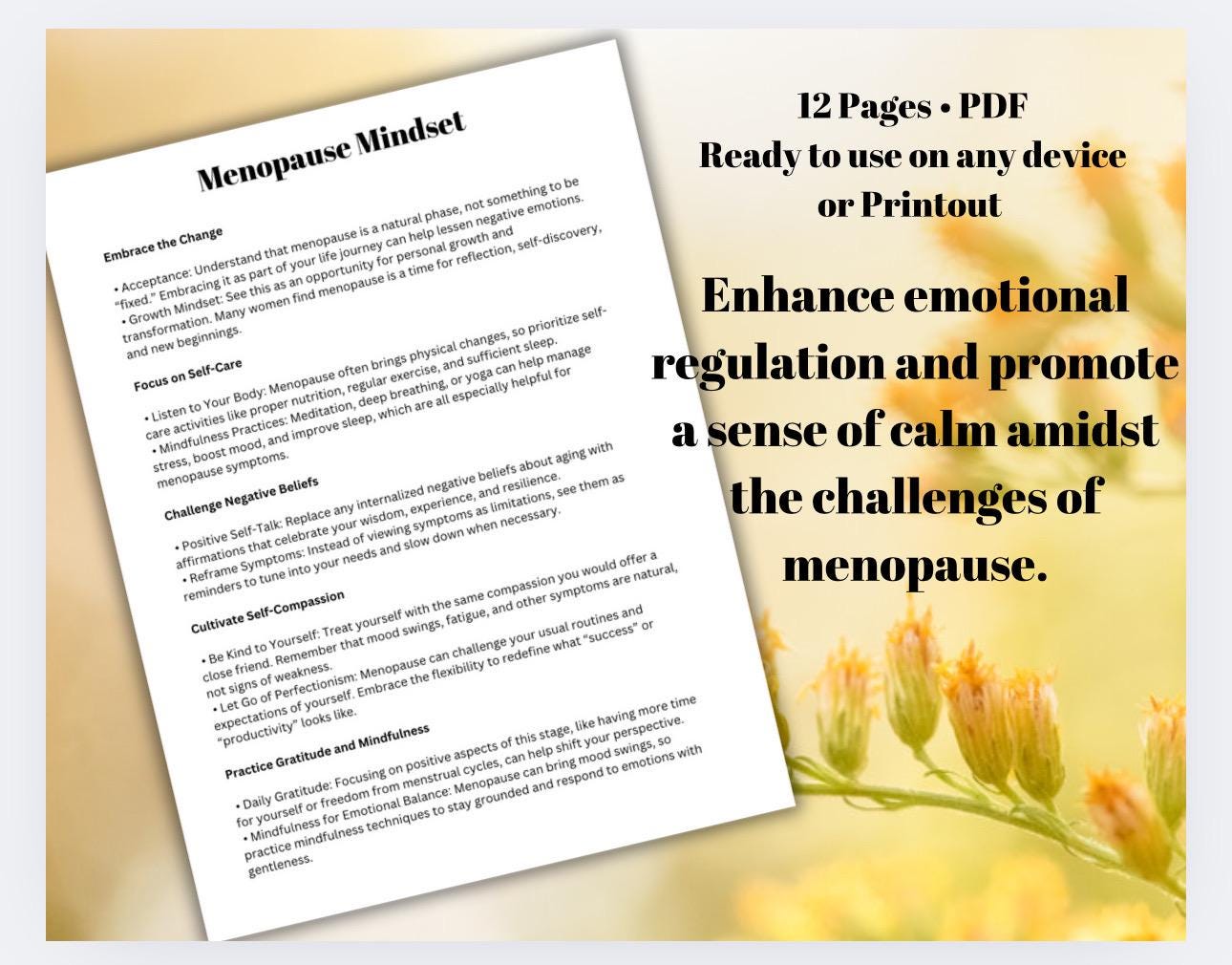 Menopause Mindset Journal: Mindfulness, Affirmations (PDF Download)