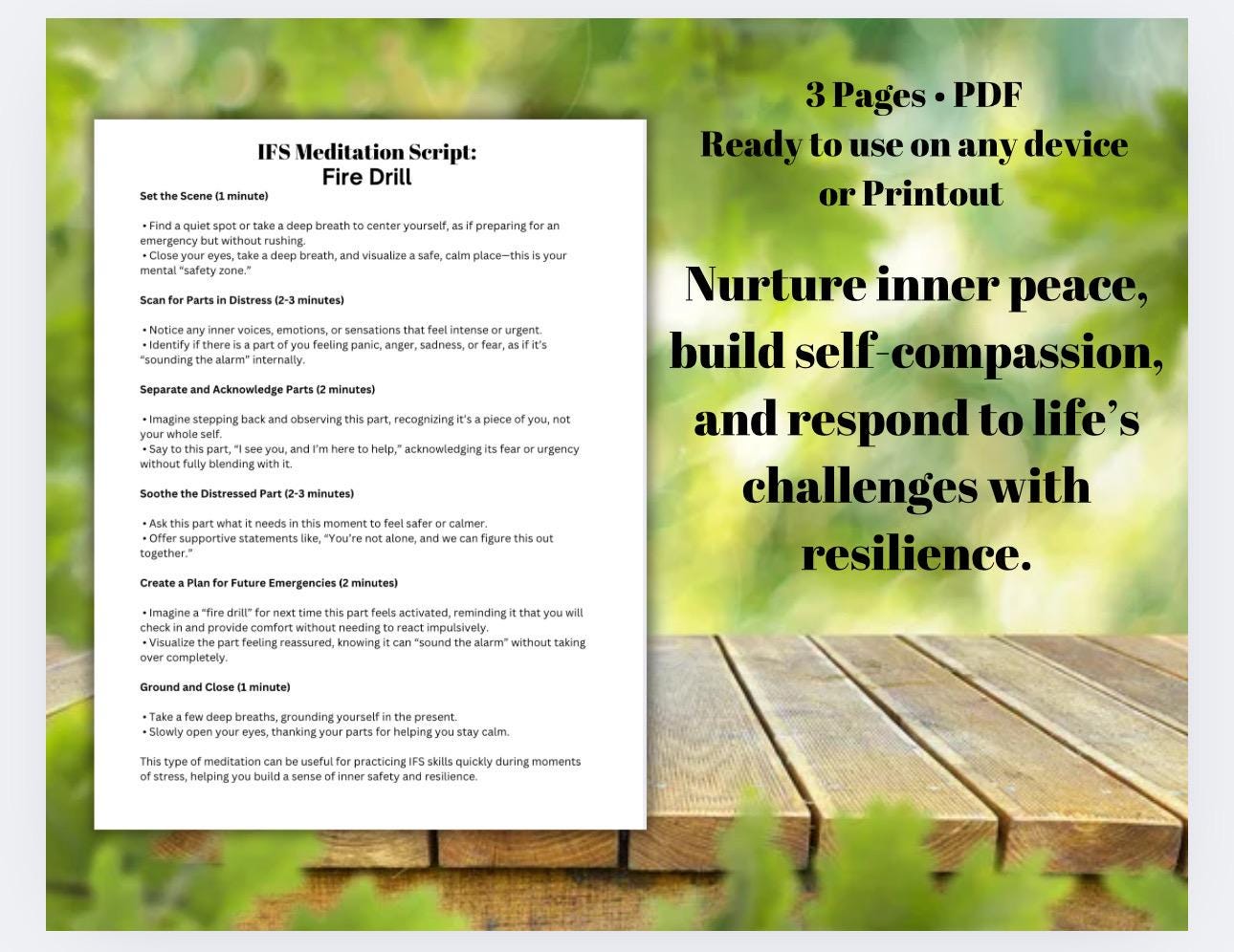 IFS Meditation Scripts Connect with Inner Parts Internal Family Systems The Chair