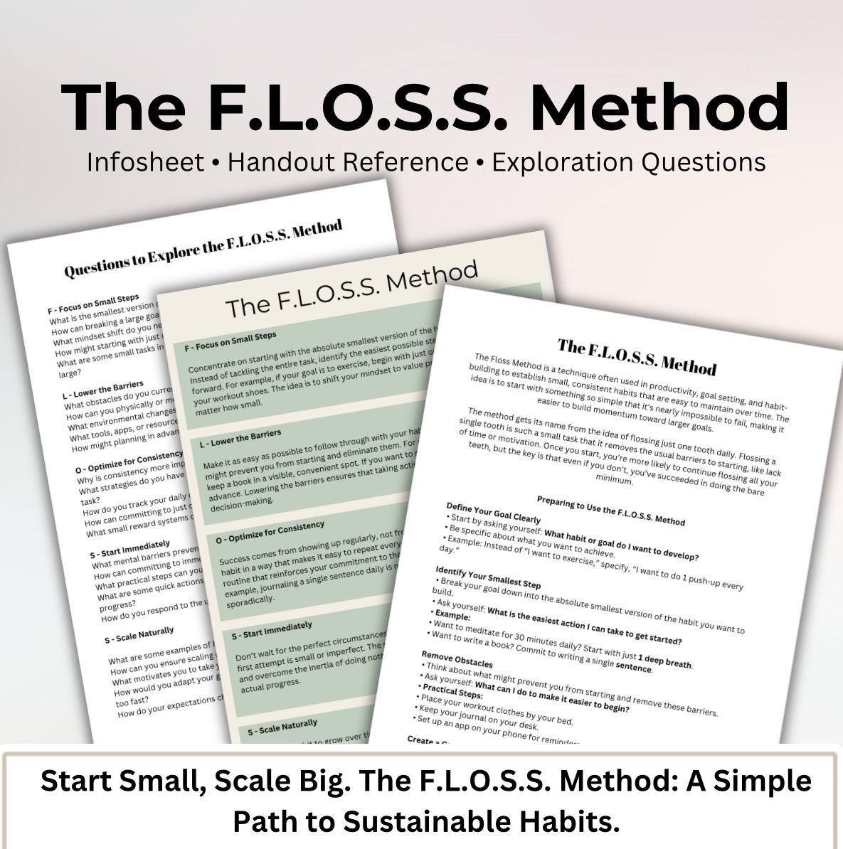 Goal Setting Method The FLOSS Framework Achieve Desired Outcomes Habit Tracker Sustainable Habits