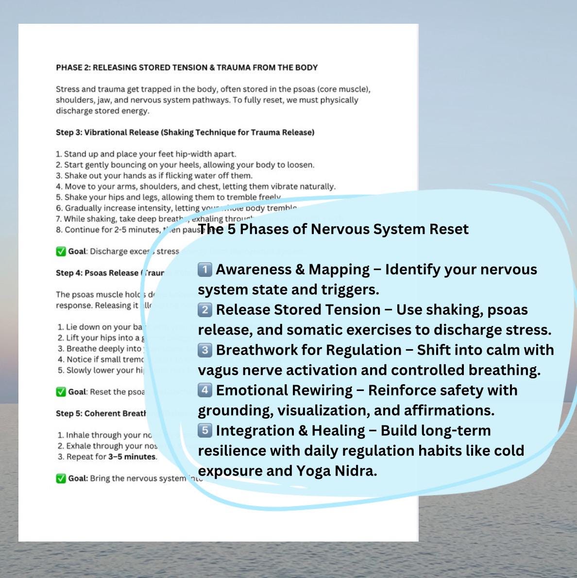 Nervous System Reset Guide: Somatic Healing, Trauma Release (Editable PDF)