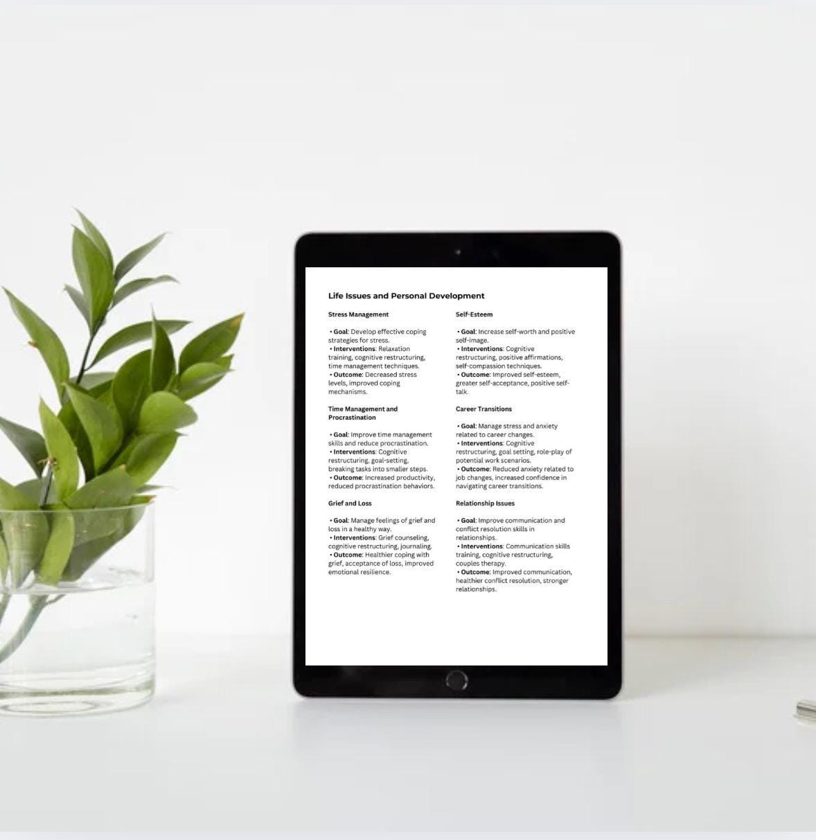 CBT Treatment Plan Guide: Roadmap for Therapy Mental Health, Therapists Resource (PDF)