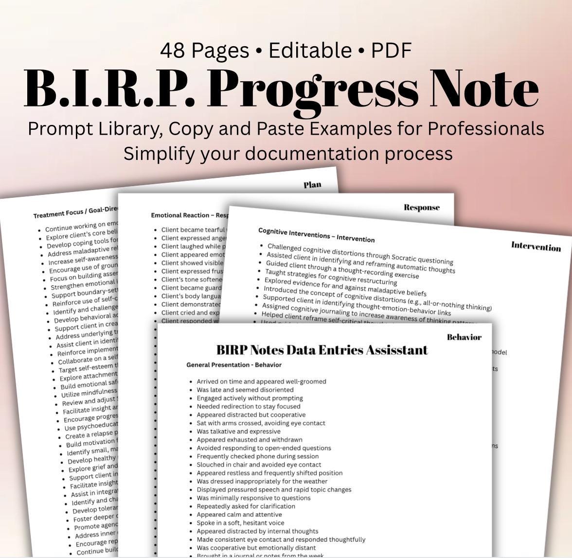 BIRP Progress Note Prompts: Mental Health Documentation for Therapists (Digital Download)