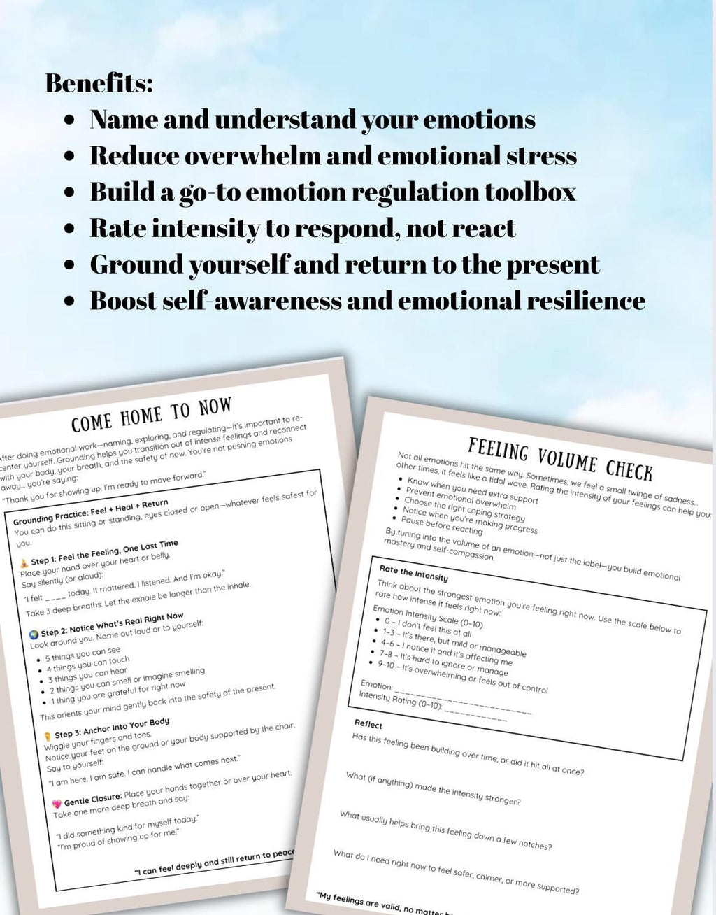 Emotions, Name it to Tame it, Emotional Regulation & Coping Tools (PDF Downloadable)