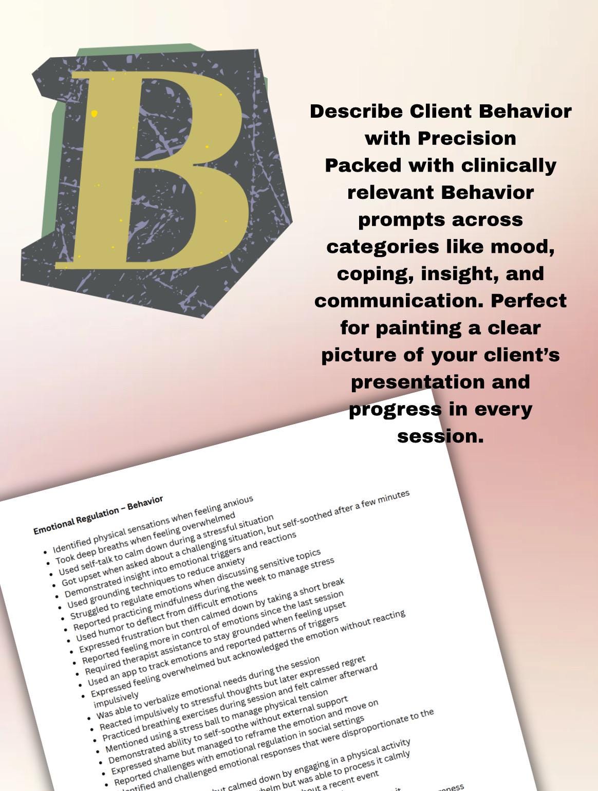 BIRP Progress Note Prompts: Mental Health Documentation for Therapists (Digital Download)