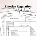 DBT Emotion Regulation Toolkit Worksheets for Distress Tolerance Opposite Action Self-Soothing Emotion Wheel
