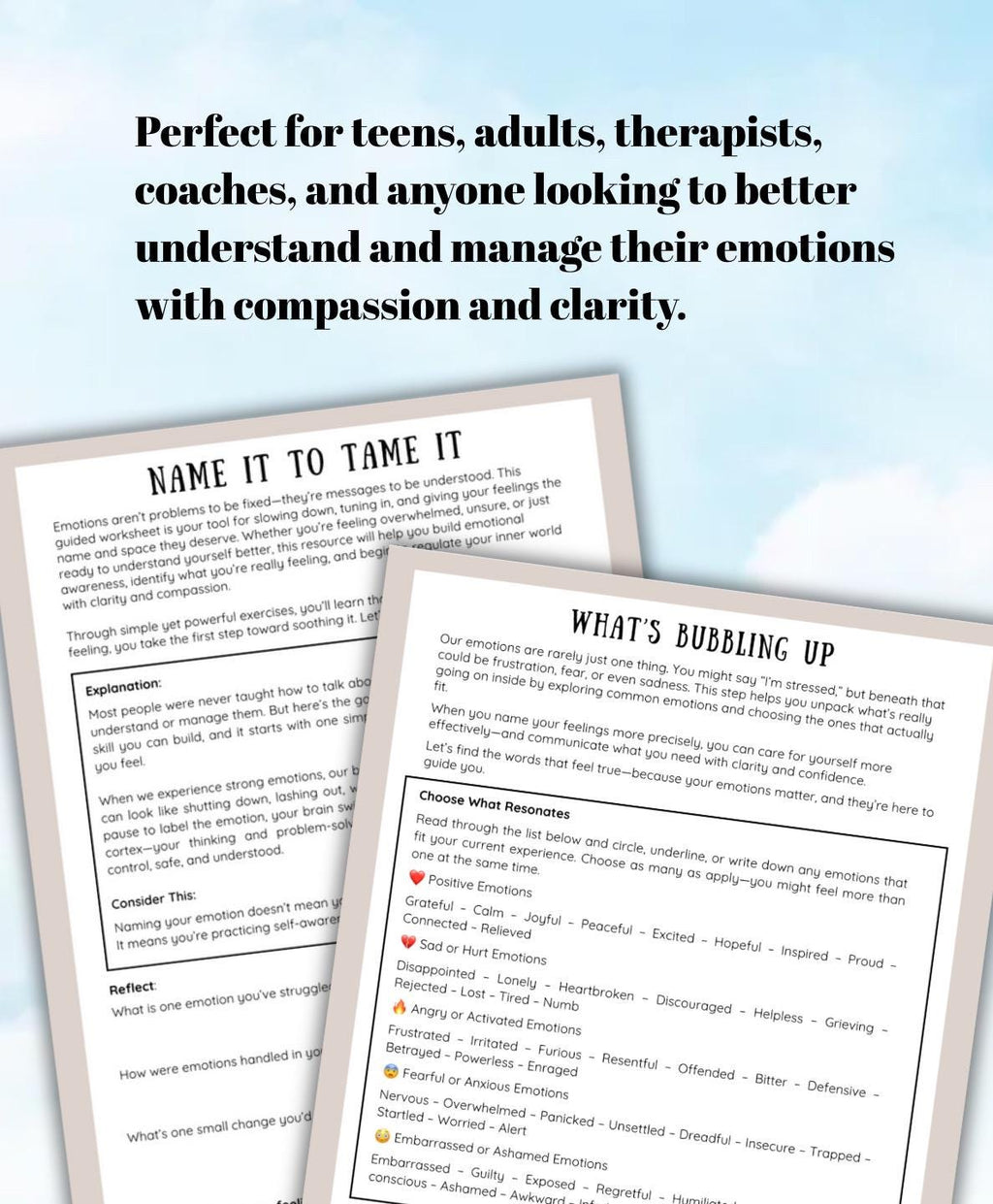 Emotions, Name it to Tame it, Emotional Regulation & Coping Tools (PDF Downloadable)