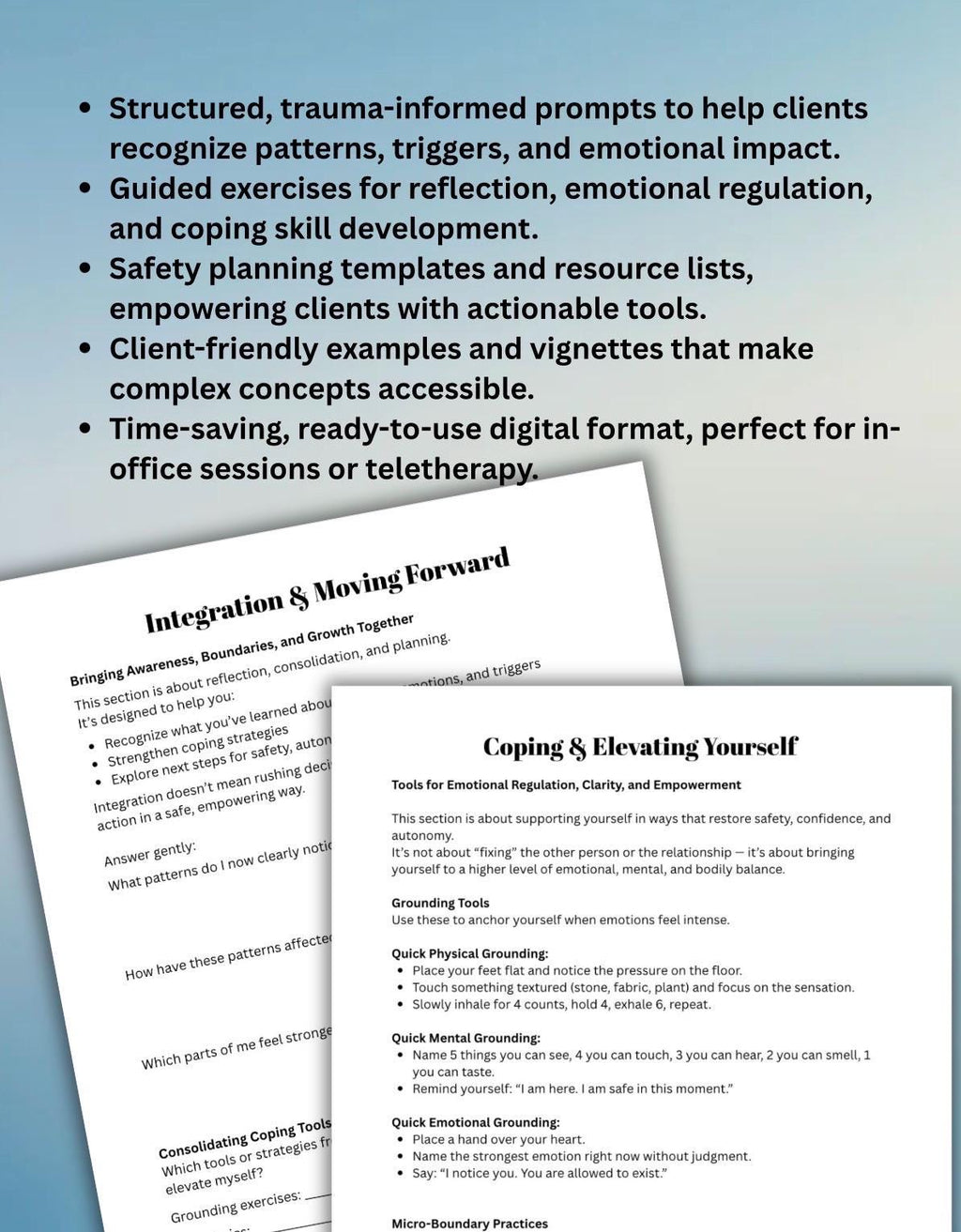 Separation Abuse Worksheet Emotional Healing, Boundary Setting & Coping Workbook Domestic Abusive Relationship Emotional Abuse Recovery